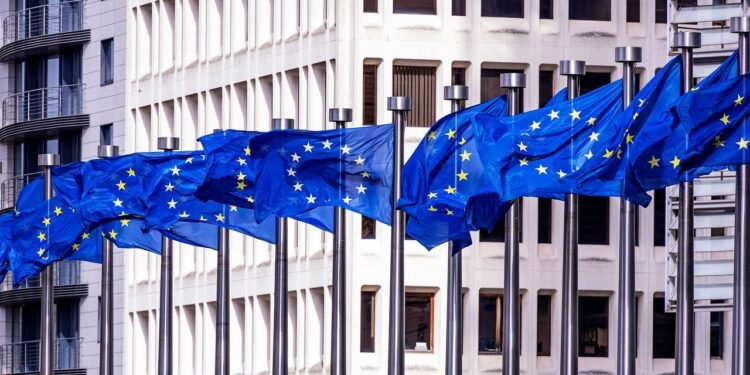 The EU Is Taking on Big Tech. It May Be Outmatched