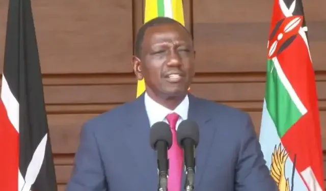 Appoints 8-member team to audit public debt