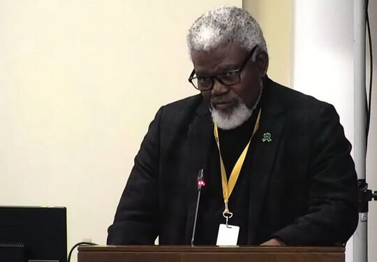 IFP wants SANDF to focus on border security rather than international deployments