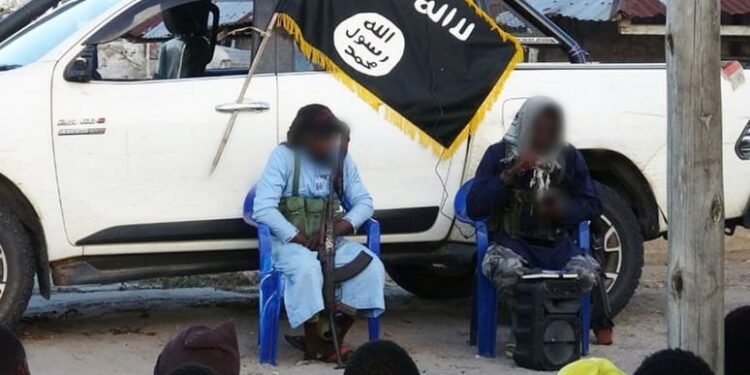 ISIS SA cells named in US Treasury action against ISIS