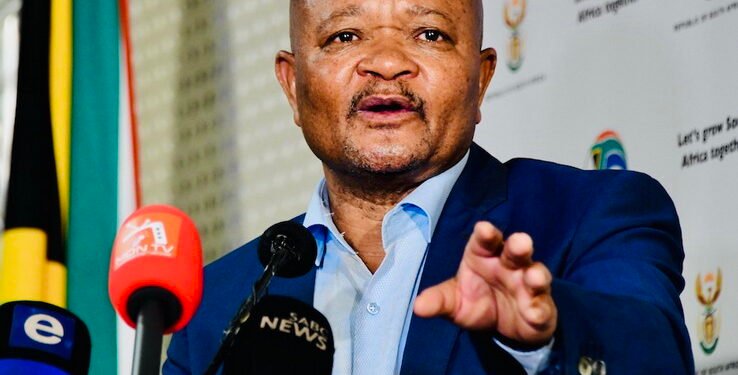 Police Minister calls for expanded R113.5 billion policing budget