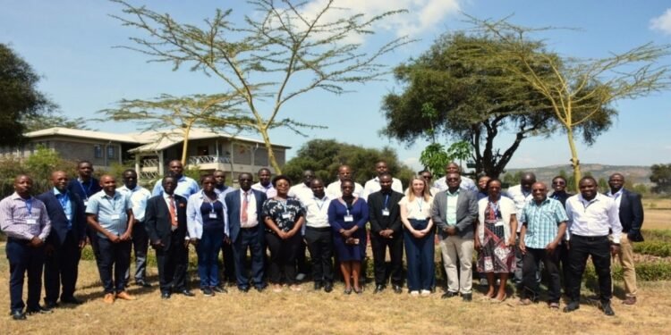 Powering transition to sustainable energy systems in Kenya: perspectives of stakeholders about Feed-in Tariffs (FiTs) and Renewable Energy Auctions (REA) policies