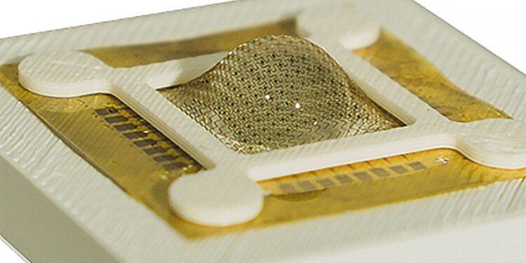 Research team designs biomimetic vision system based on praying mantis eyes