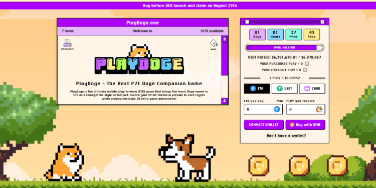 24 Hours to Go in PlayDoge Presale