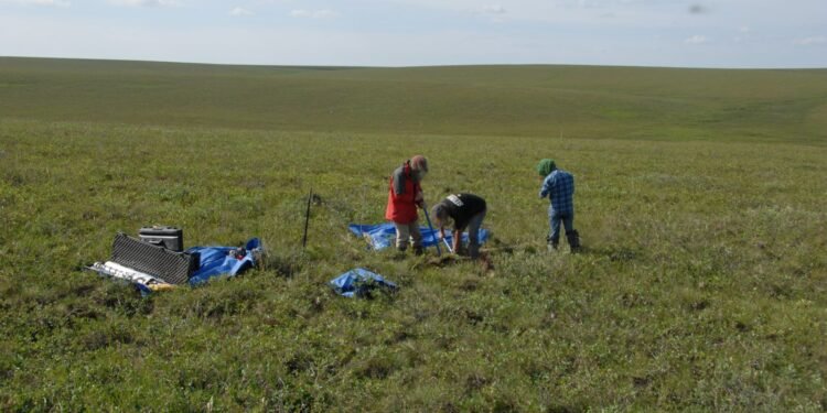 Alaska’s permafrost is thawing, releasing a concerning amount of mercury