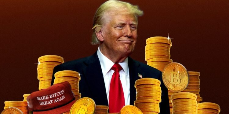Donald Trump’s Plan to Hoard Billions in Bitcoin Has Economists Stumped