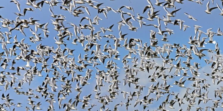 Nature-inspired AI algorithms offer new solutions to complex problems