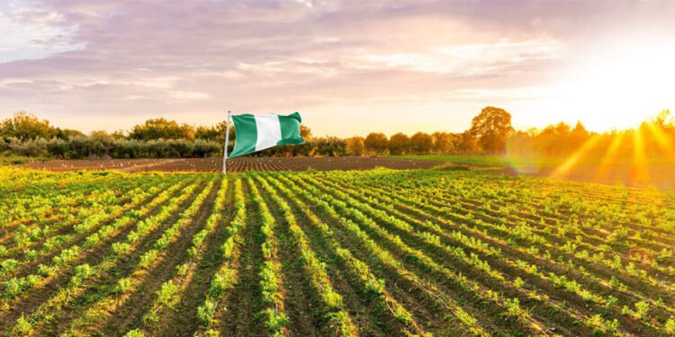 Nigeria Launches Farmer Data-Capturing Initiative in Partnership with NIMC