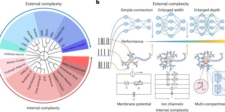 Scientists establish brain-inspired network model to bridge AI and neuroscience