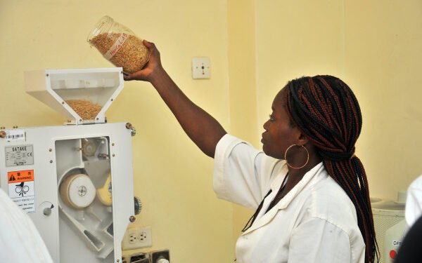 the African Development Bank grants a loan of over USD 26 million to develop key agricultural sectors through private-sector investments