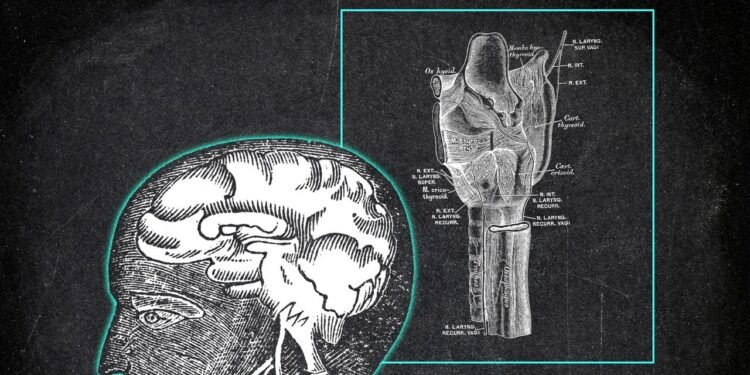 The Vagus Nerve’s Crucial Role in Creating the Human Sense of Mind