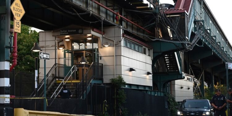This Is What Happens When We Flood the Subway System With Police