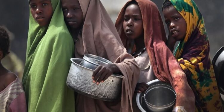 Top 10 African countries with the highest level of food insecurity