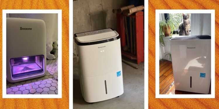 4 Best Dehumidifiers We’ve Tested and Reviewed