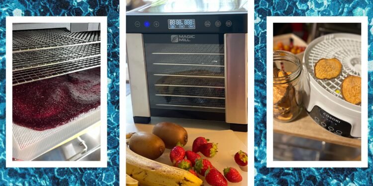 5 Best Food Dehydrators, Tested and Reviewed