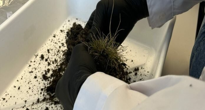 A biotech start-up that began in Antarctica