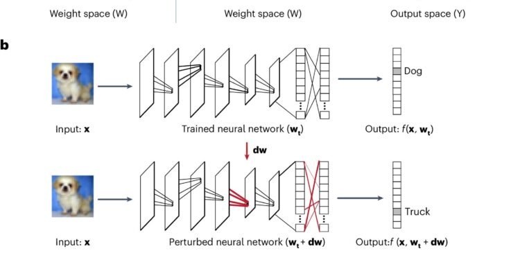 Algorithm inspired by brain allows neural networks to retain knowledge