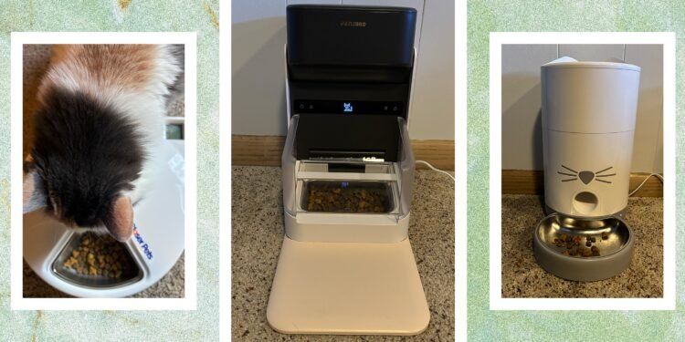 These 5 Automatic Cat Feeders Were the Best We Tested