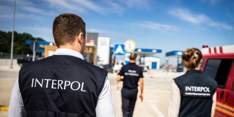 INTERPOL mops up over 1000 cybercrime suspects across 19 African countries