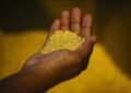 Mali Secures $160M Settlement in Dispute with Australian Mining Company