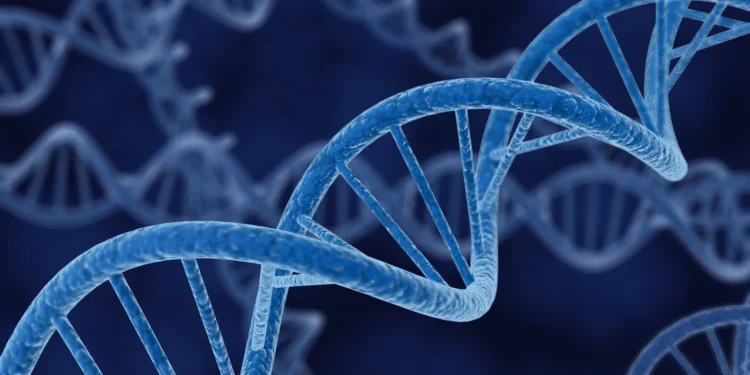 PTC wins US approval of gene therapy for fatal enzyme disorder