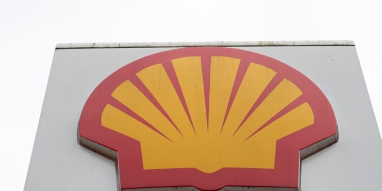 Shell, BP CEOs defend transition strategy with biofuel highlight