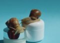 Snail Mucin Is a Skin Care Sensation With Ancient Origins