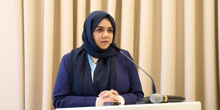 UAE advances climate action and sustainable development on multiple fronts at COP29 in Baku