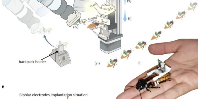 Automated assembly speeds up the creation of hybrid robots