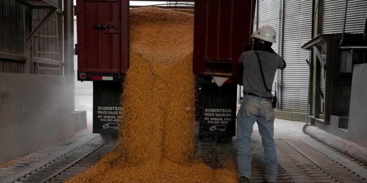 Chicago soybeans fall from two-week highs