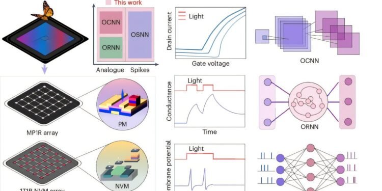Engineers develop device that merges sensing and computing functions for reconfigurable computing platform