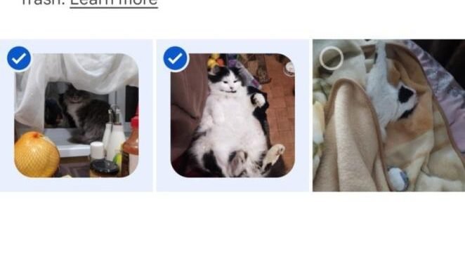How Do I Retrieve Pictures on Android? 6 Quick Ways – IT News Africa