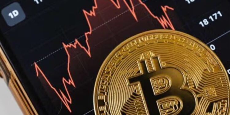 Nigeria and South Africa Lead Global Crypto Ownership Rankings