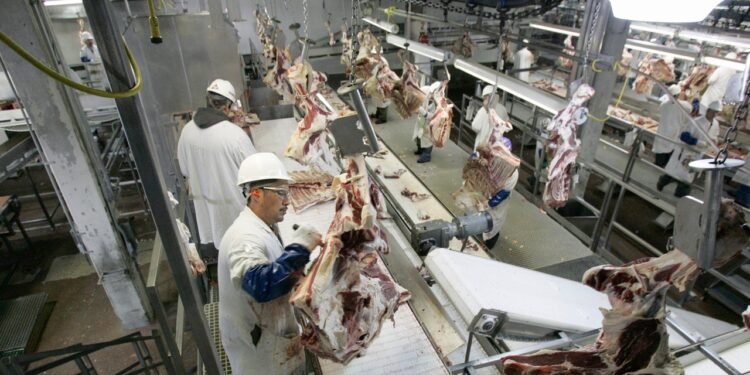 US Meat, Milk Prices Should Spike if Donald Trump Carries Out Mass Deportation Schemes