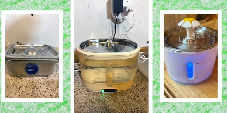 12 Best Cat Water Fountains, WIRED Tested and Reviewed (2025)