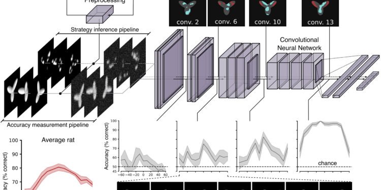 A lesson in visual object recognition for AI