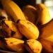 A multi-million-dollar business supplying bananas and more