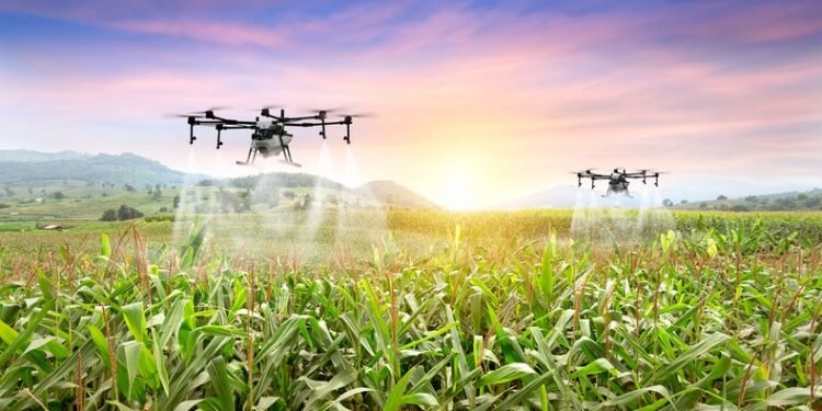 African startups and VCs must prioritize climate-resilient business models – Dotun Olowoporoku