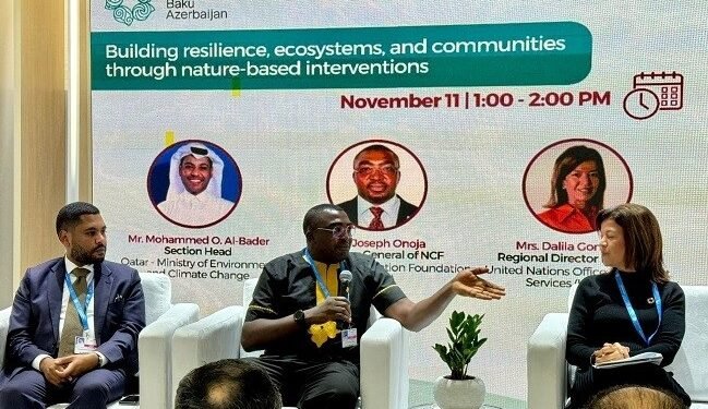 COP29: NCF advocates ecosystems preservation to enhance climate resilience – EnviroNews