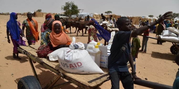 Challenges mount for African nations amid Trump’s aid suspension