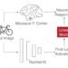 Data from macaque monkeys reveals flaws in deep neural networks