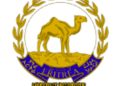 Eritrea: Activity Assessment Meeting of People’s Front for Democracy and Justice (PFDJ) Organization