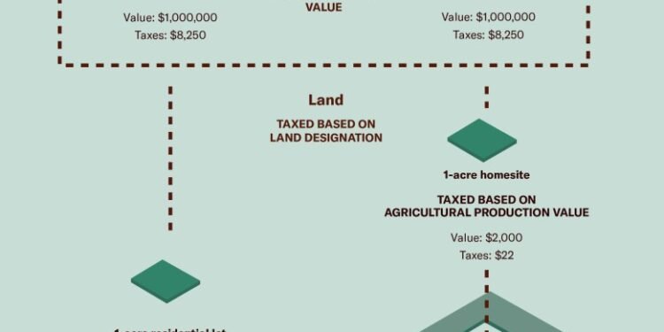 How luxury real estate benefits from Montana’s agricultural tax code