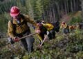 Pay wildland firefighters a living wage