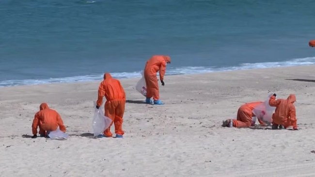 Return of debris balls forces closure of nine Sydney beaches – EnviroNews