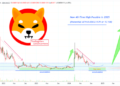 Shiba Inu Chart Shows 9% Surge, Targeting $0.00023 in Price Rally