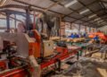 The journey of building a sawmilling business in South Africa