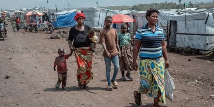 UN confirms Rwandan troops in Goma