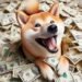 $1500 Worth Of SHIB Becomes $30 Million Today