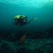 Exail Selects Elwave’s Sensing Technology to Equip R7 Underwater Vehicles